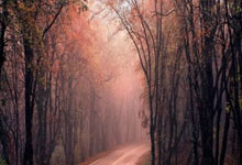 【原创】竞彩足球预测分析：周日015葡超 阿马多拉VS埃斯托里.