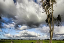 国际乒联公布最新规则，樊振东、孙颖莎自动入围.