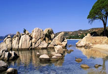 后弗爵时代战绩最差！阿莫林14轮英超场均仅拿1分.